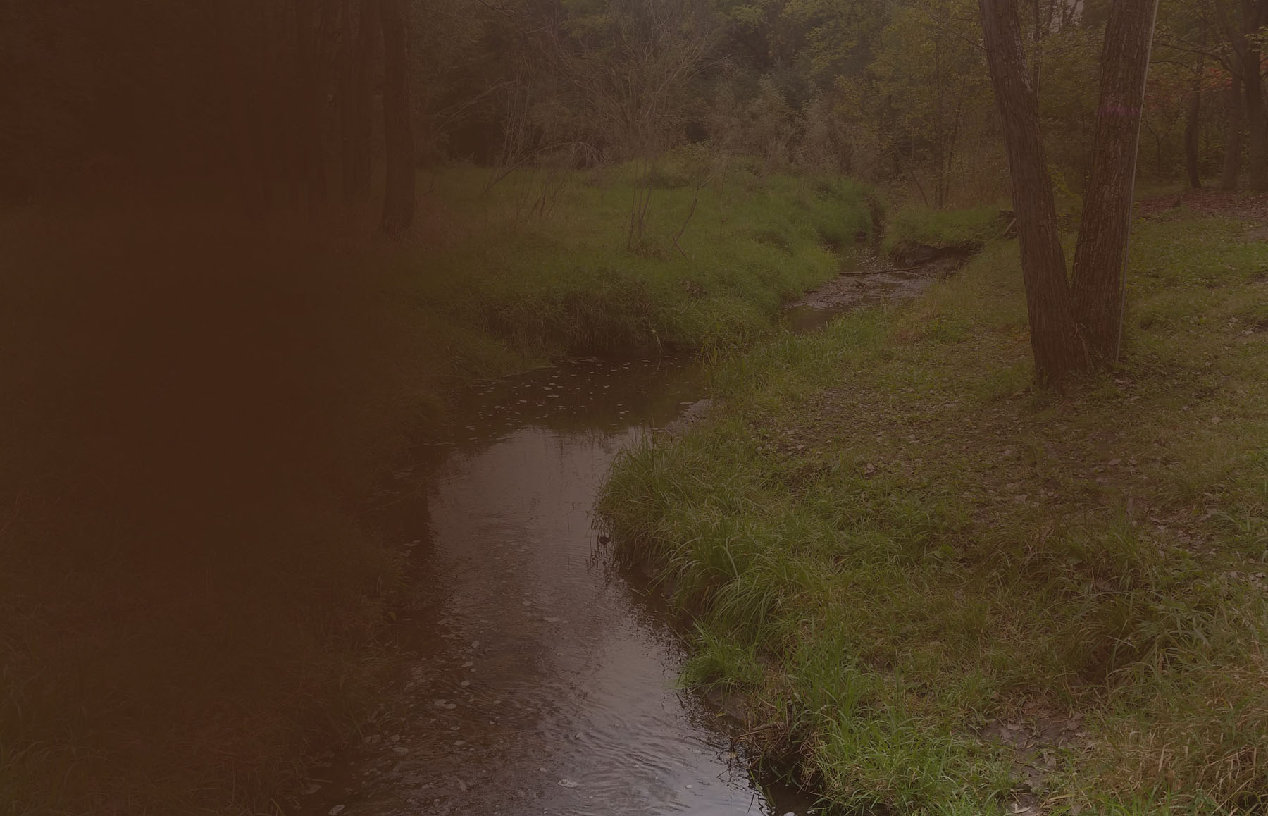 Oak Creek of Lockport MC Custom Homes