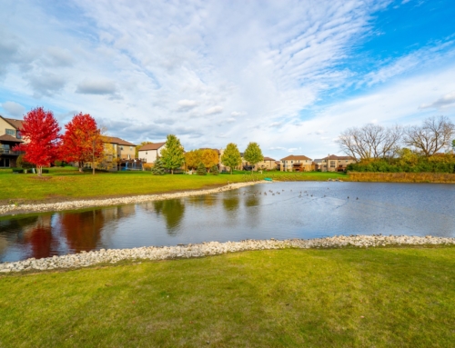 Community Pond